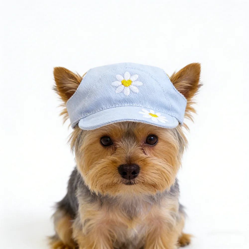 Sada599065dd44b03a39c58507c8cf52a8